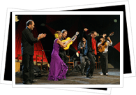 Flamenco Festival